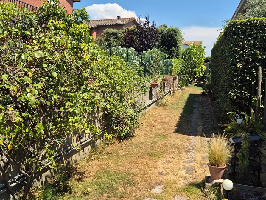 Immagine 3 di Appartamento in vendita  a Campiglia Marittima