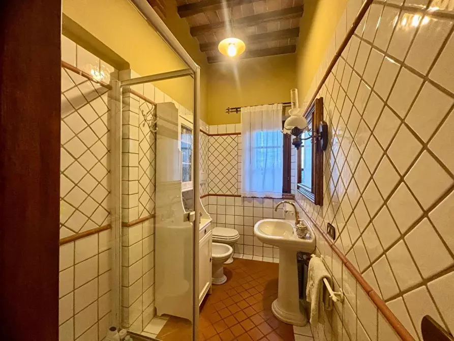 Immagine 62 di Casa colonica in vendita  a Palaia