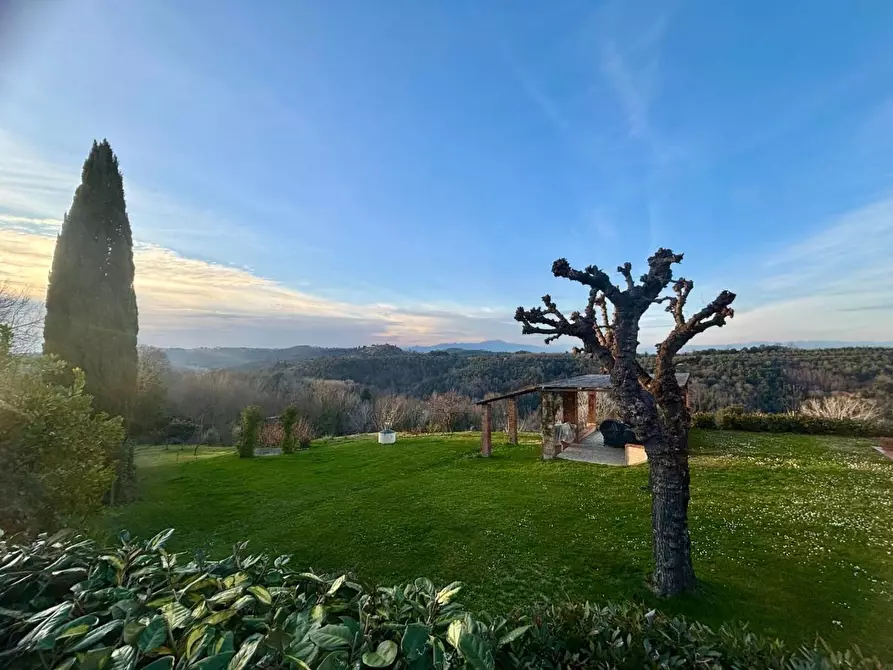 Immagine 16 di Casa colonica in vendita  a Palaia