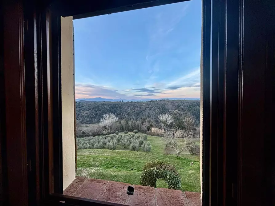 Immagine 35 di Casa colonica in vendita  a Palaia