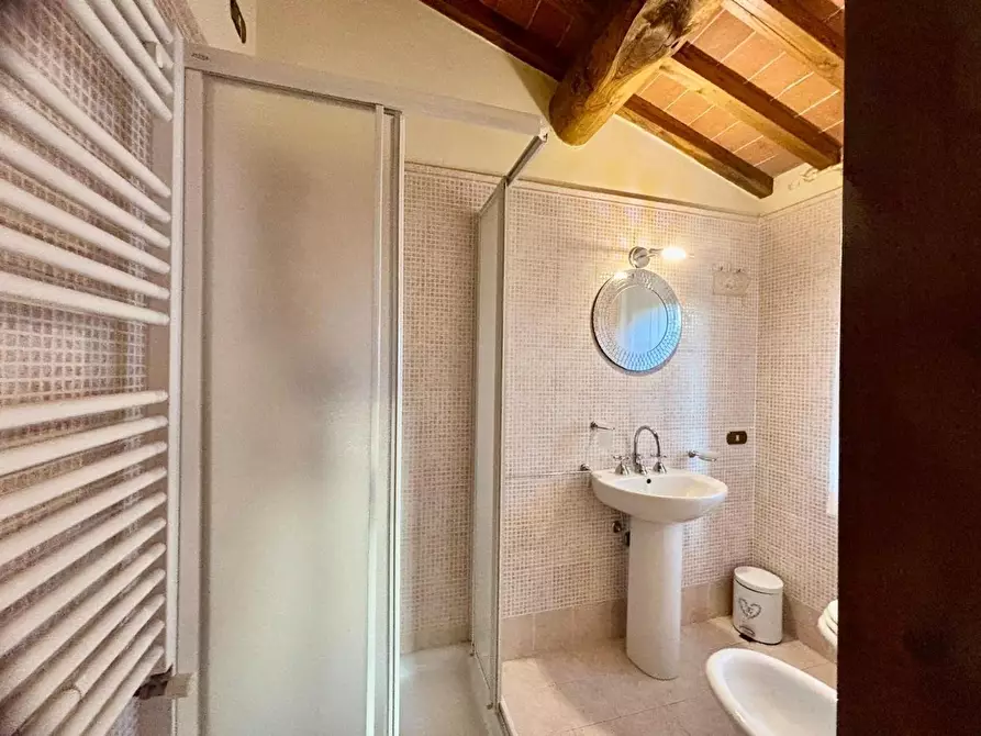 Immagine 61 di Casa colonica in vendita  a Palaia