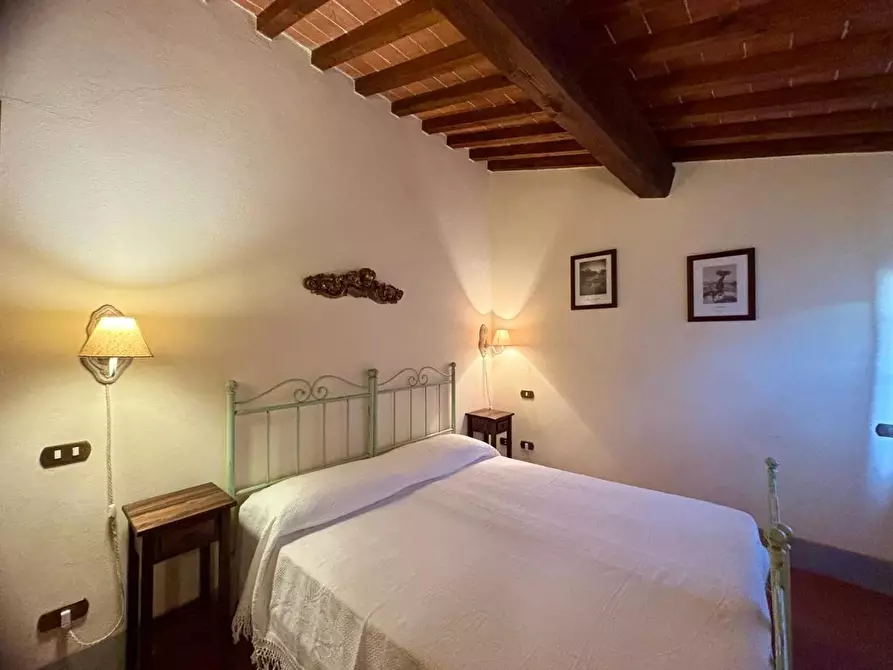 Immagine 54 di Casa colonica in vendita  a Palaia