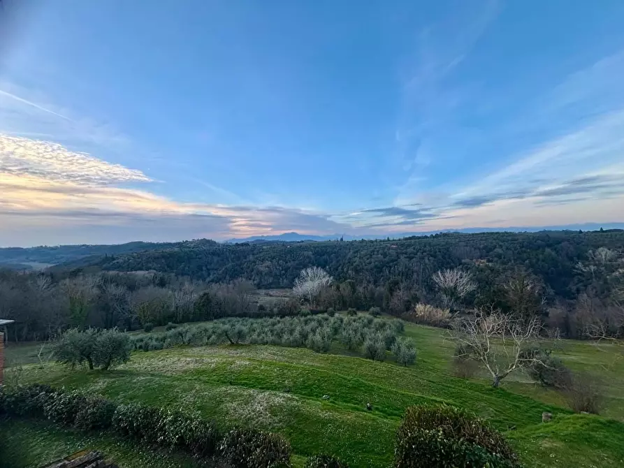 Immagine 12 di Casa colonica in vendita  a Palaia