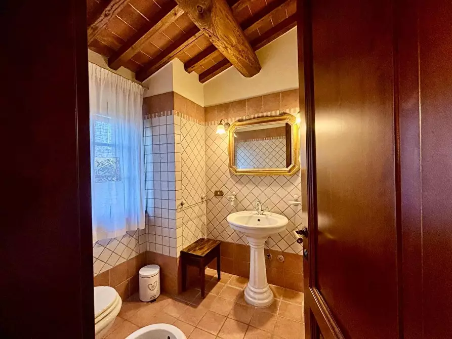 Immagine 65 di Casa colonica in vendita  a Palaia