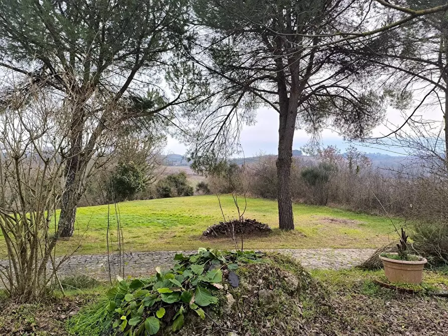 Immagine 26 di Casa colonica in vendita  a Monteriggioni