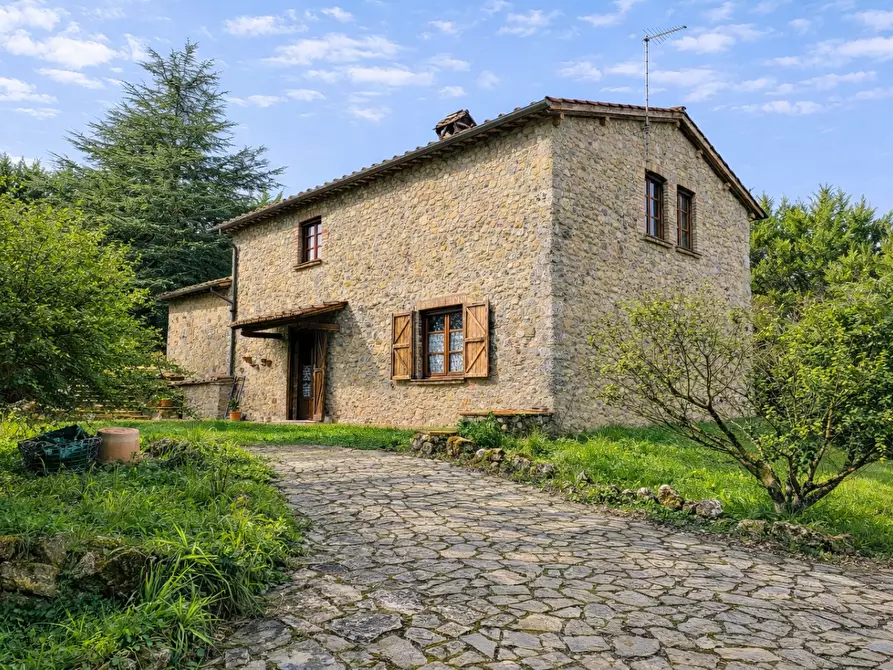 Immagine 5 di Casa colonica in vendita  a Monteriggioni
