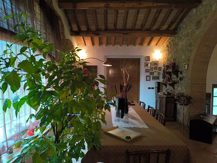 Immagine 61 di Casa colonica in vendita  a Monteriggioni