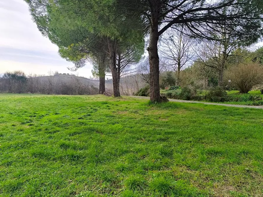 Immagine 11 di Casa colonica in vendita  a Monteriggioni
