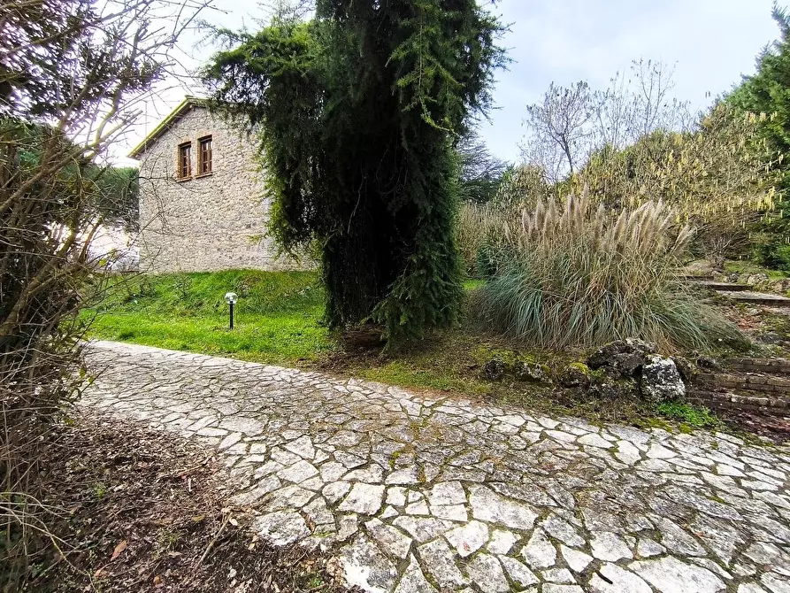 Immagine 13 di Casa colonica in vendita  a Monteriggioni