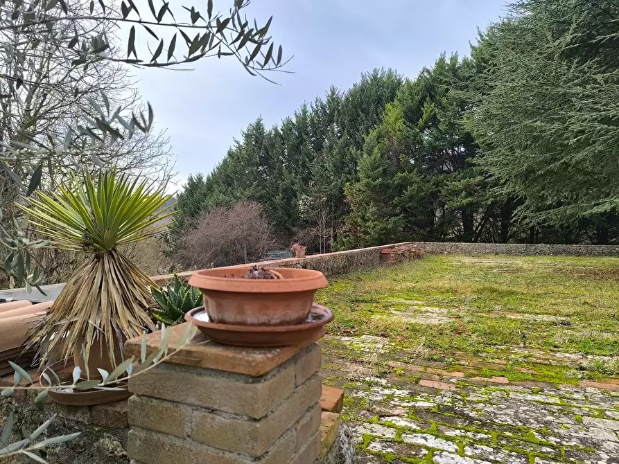 Immagine 21 di Casa colonica in vendita  a Monteriggioni