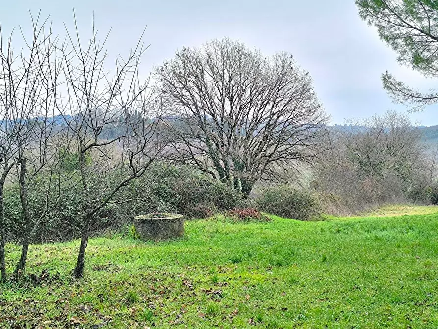 Immagine 15 di Casa colonica in vendita  a Monteriggioni