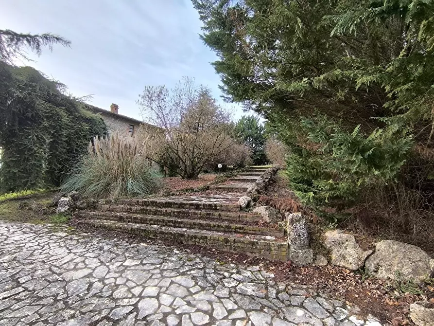 Immagine 16 di Casa colonica in vendita  a Monteriggioni