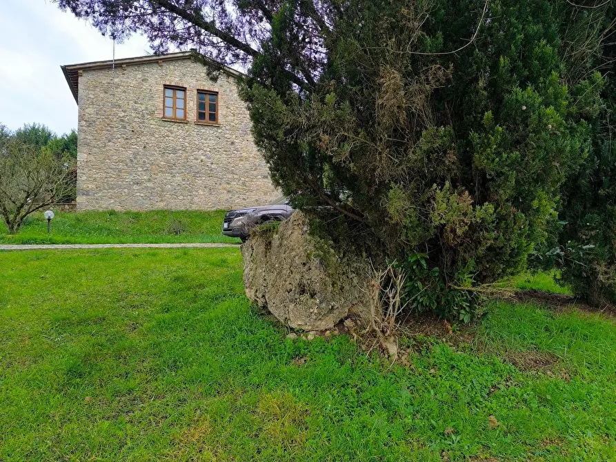 Immagine 12 di Casa colonica in vendita  a Monteriggioni