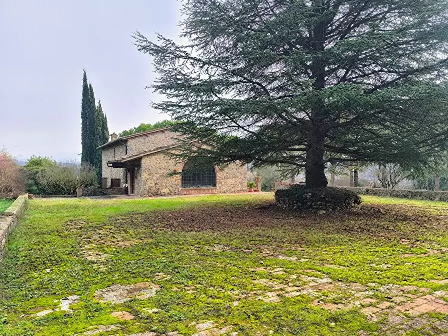 Immagine 19 di Casa colonica in vendita  a Monteriggioni