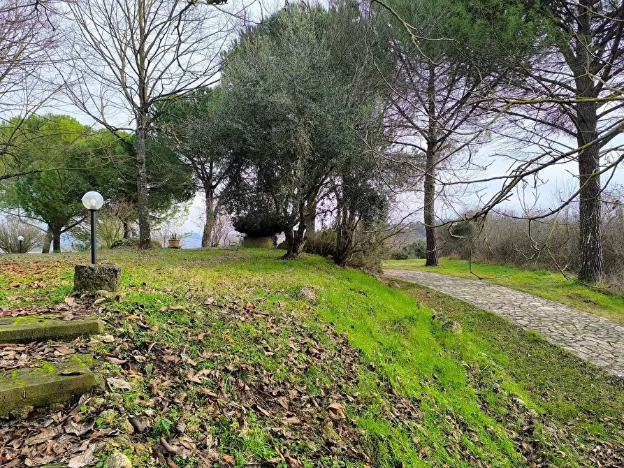 Immagine 27 di Casa colonica in vendita  a Monteriggioni