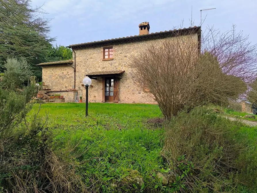 Immagine 9 di Casa colonica in vendita  a Monteriggioni