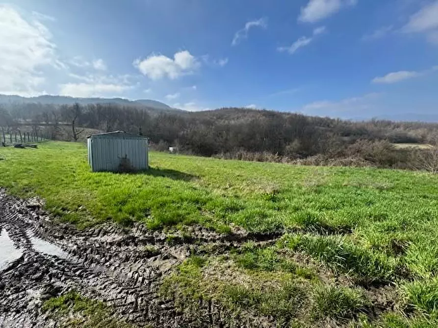 Immagine 10 di Terratetto in vendita  a Vernasca