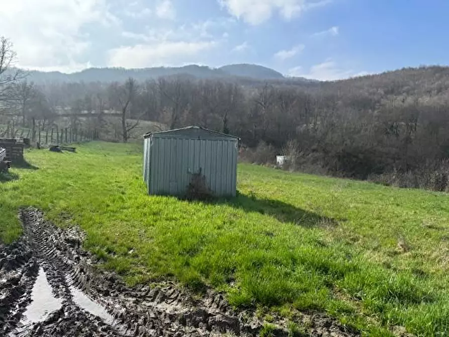 Immagine 5 di Terratetto in vendita  a Vernasca
