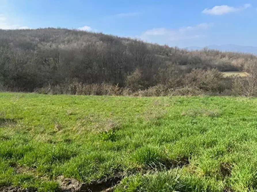 Immagine 9 di Terratetto in vendita  a Vernasca