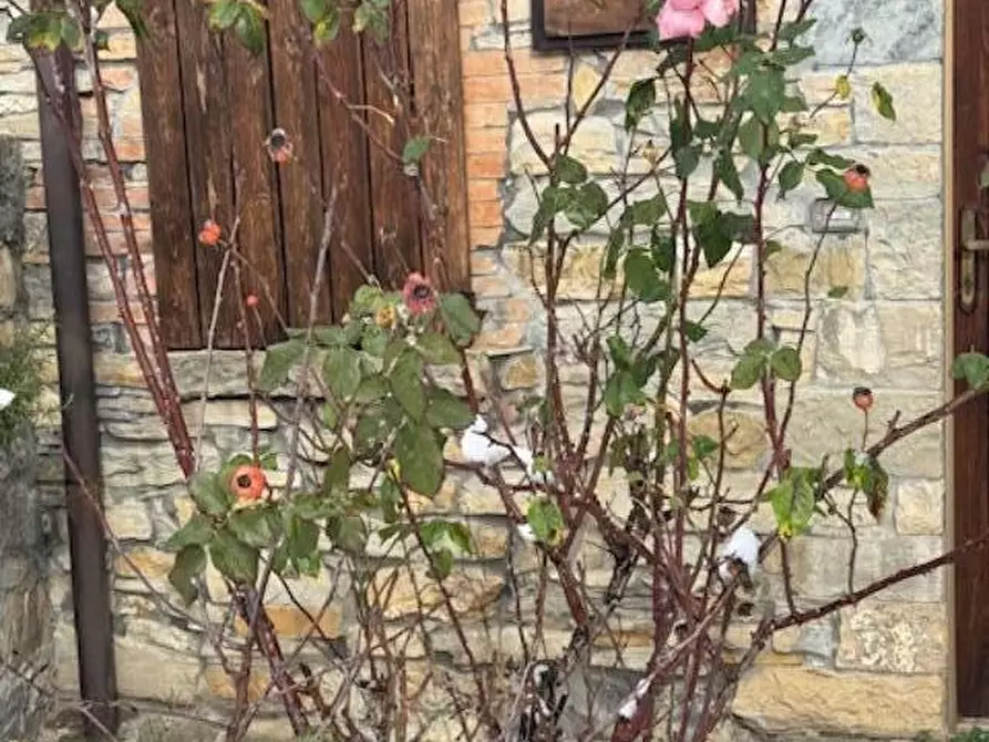 Immagine 17 di Terratetto in vendita  a Vernasca