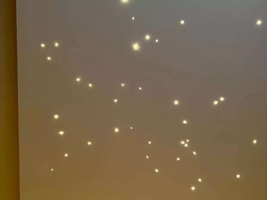 Immagine 11 di Appartamento in vendita  a Calcinaia