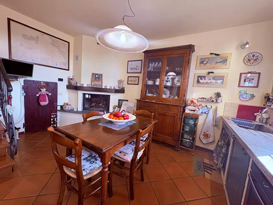 Immagine 32 di Terratetto in vendita  a Bibbona