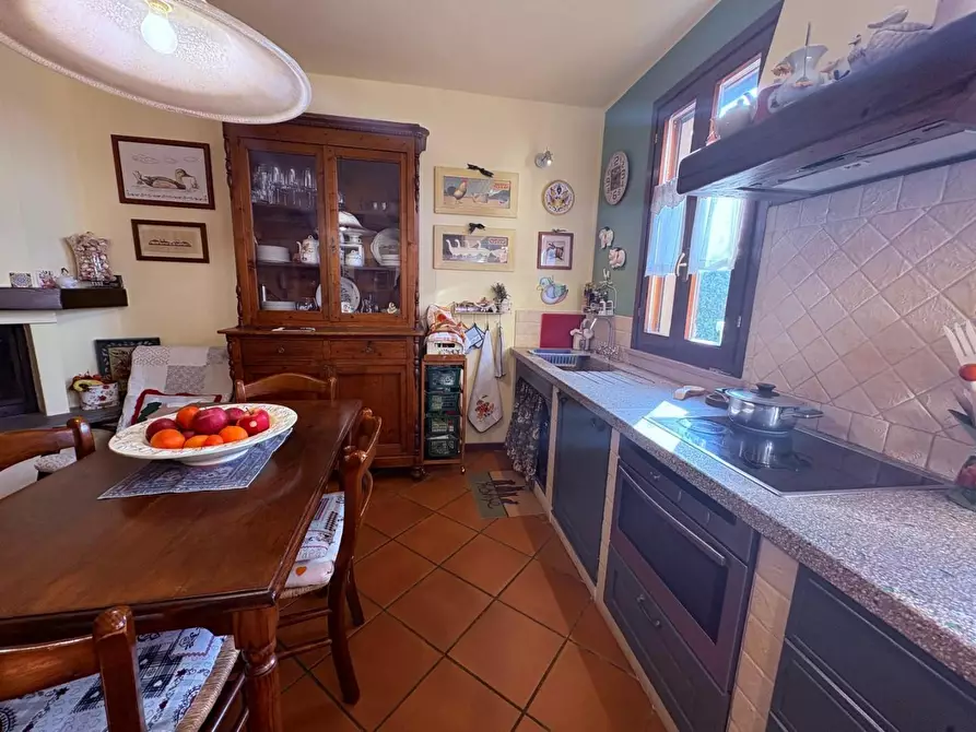 Immagine 33 di Terratetto in vendita  a Bibbona