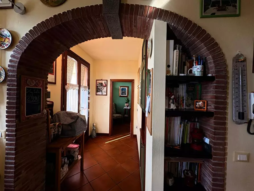 Immagine 37 di Terratetto in vendita  a Bibbona