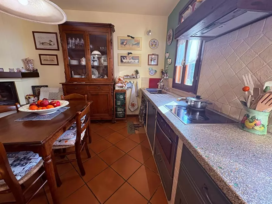 Immagine 36 di Terratetto in vendita  a Bibbona