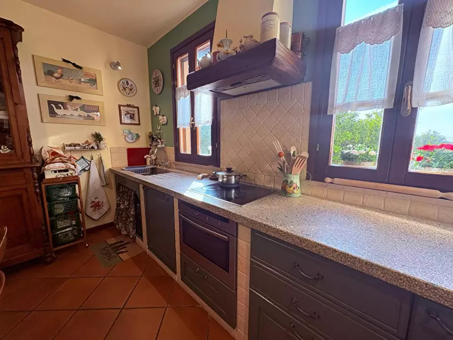 Immagine 31 di Terratetto in vendita  a Bibbona