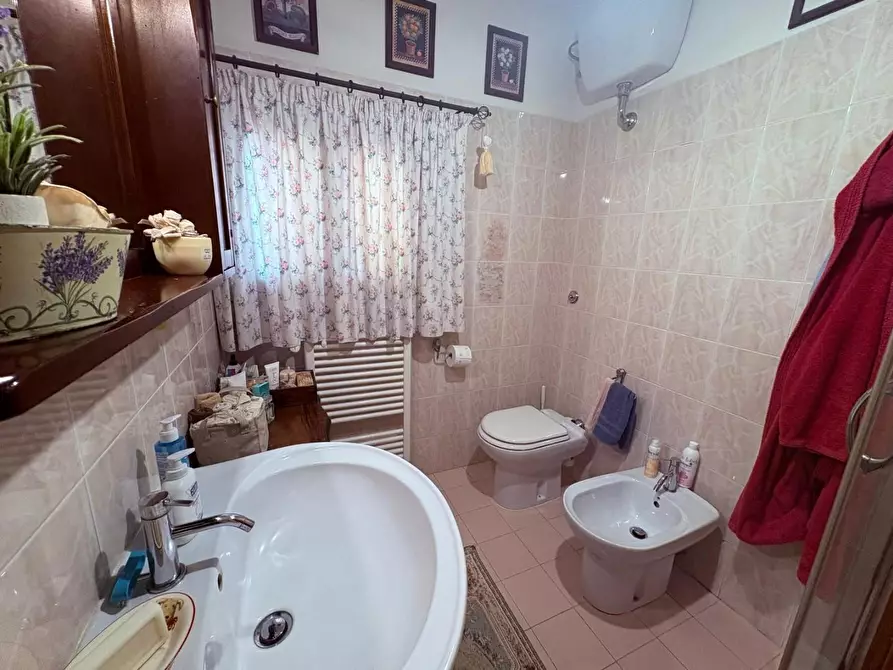 Immagine 28 di Terratetto in vendita  a Bibbona