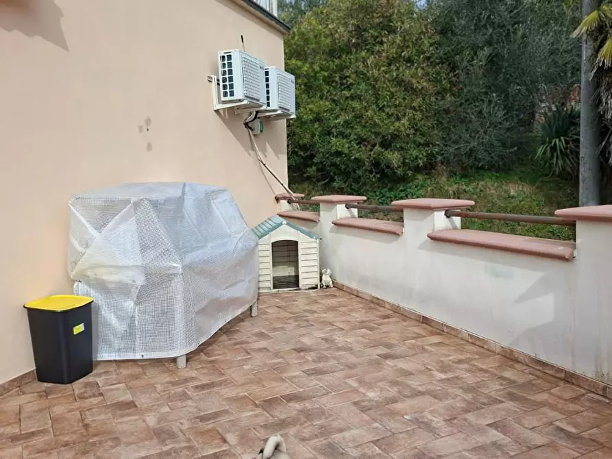 Immagine 29 di Appartamento in vendita  a Capannoli