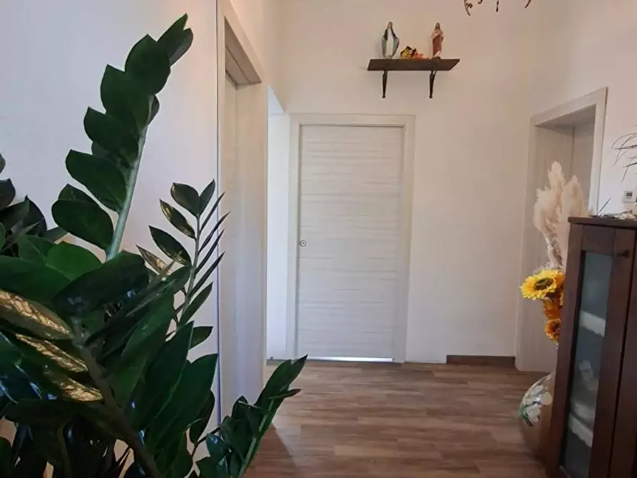 Immagine 13 di Appartamento in vendita  a Capannoli