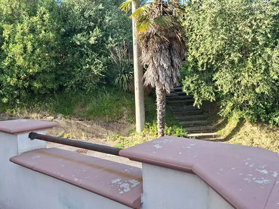 Immagine 35 di Appartamento in vendita  a Capannoli