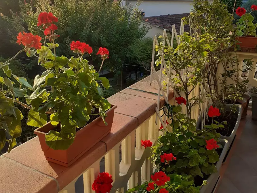 Immagine 28 di Appartamento in vendita  a Casciana Terme Lari