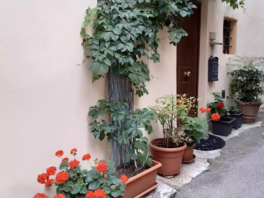 Immagine 30 di Appartamento in vendita  a Casciana Terme Lari