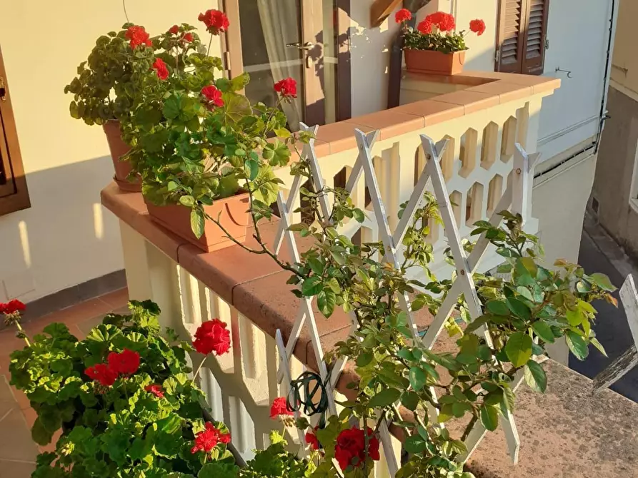 Immagine 31 di Appartamento in vendita  a Casciana Terme Lari