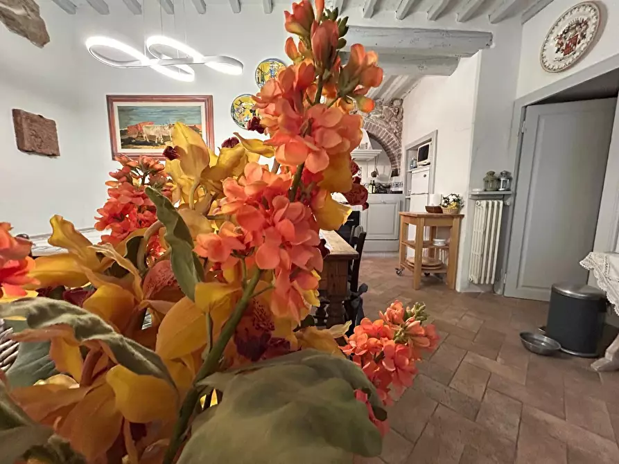 Immagine 11 di Terratetto in vendita  a Casale Marittimo