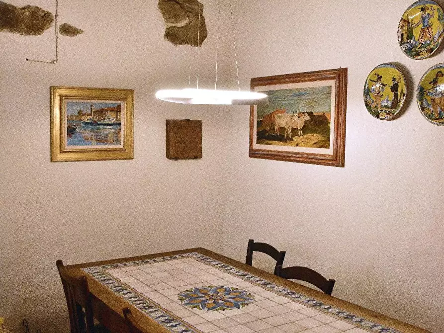 Immagine 4 di Terratetto in vendita  a Casale Marittimo