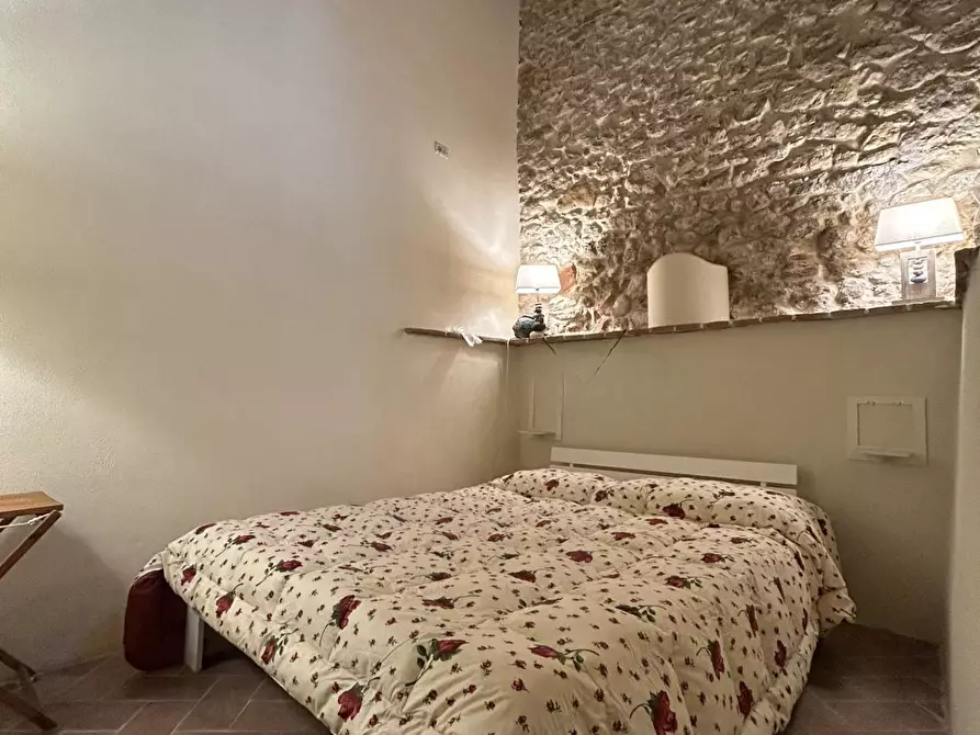 Immagine 35 di Terratetto in vendita  a Casale Marittimo