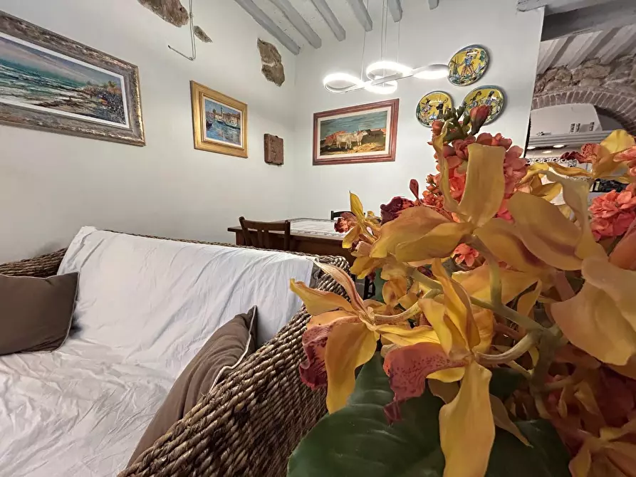 Immagine 10 di Terratetto in vendita  a Casale Marittimo