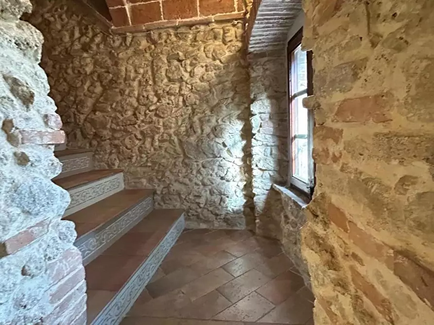 Immagine 24 di Terratetto in vendita  a Casale Marittimo