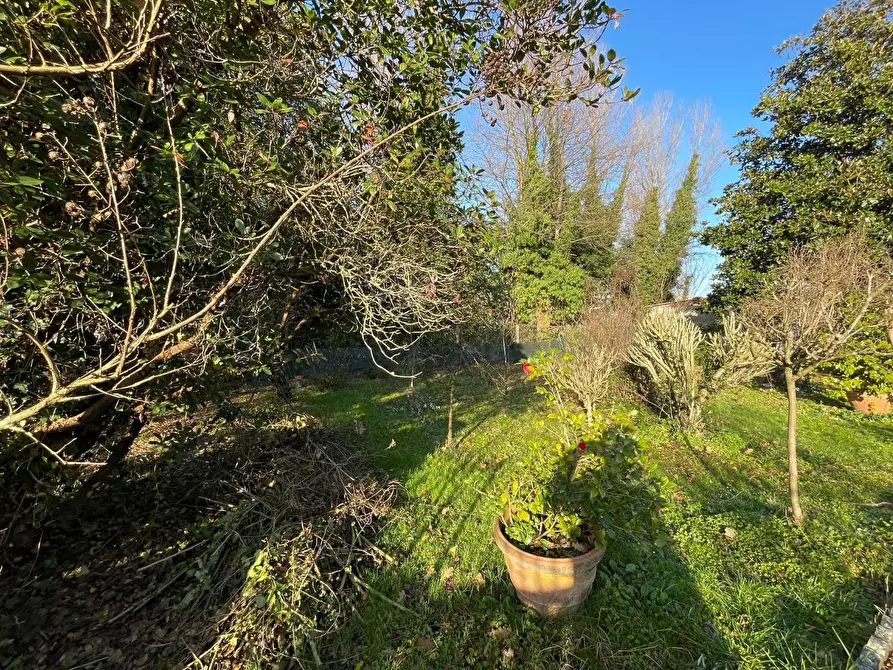 Immagine 23 di Porzione di casa in vendita  a Capannori