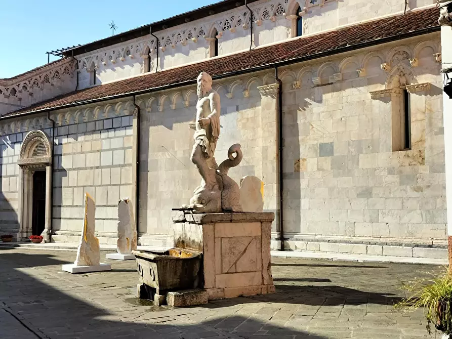 Immagine 2 di Showroom in affitto  a Carrara