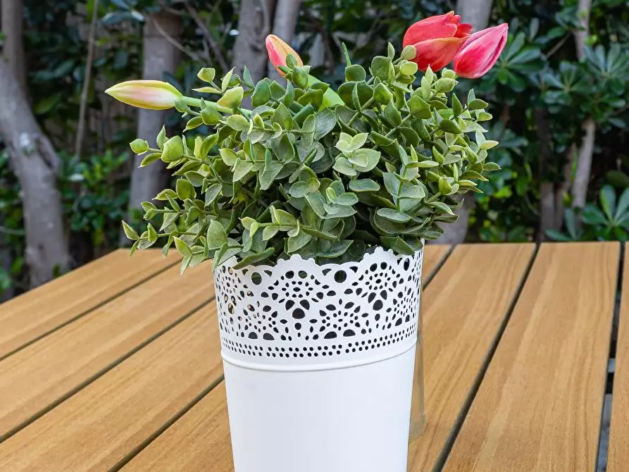 Immagine 21 di Villa in vendita  a Pisa