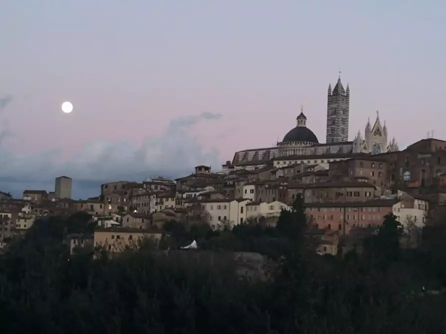 Immagine 33 di Appartamento in vendita  a Siena