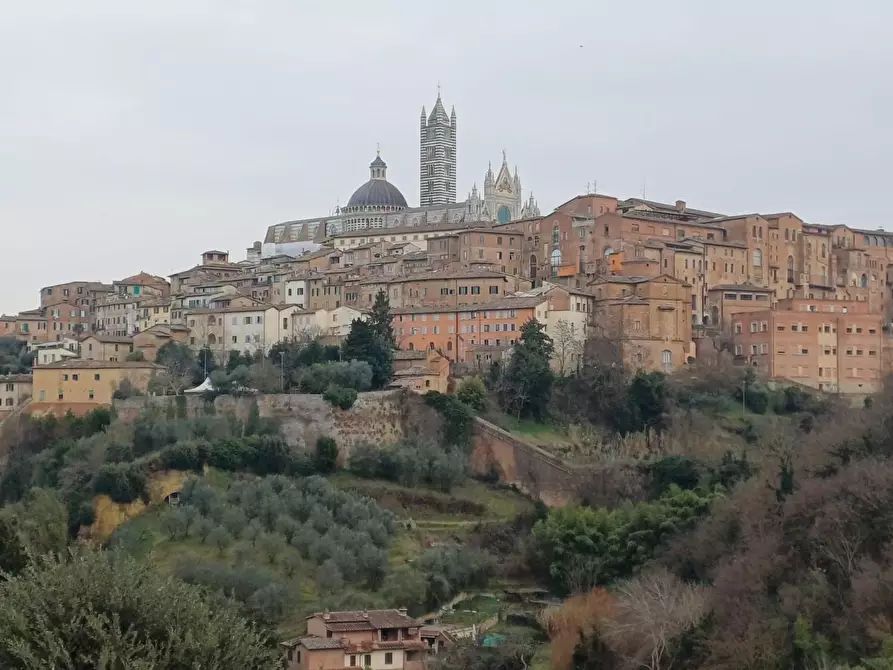 Immagine 2 di Appartamento in vendita  a Siena