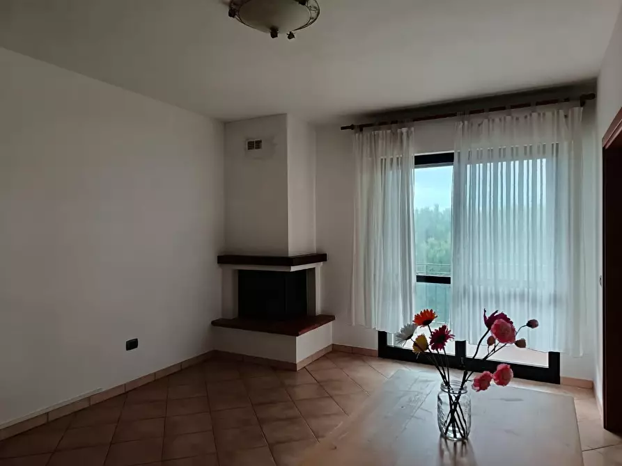 Immagine 2 di Appartamento in vendita  a Rosignano Marittimo