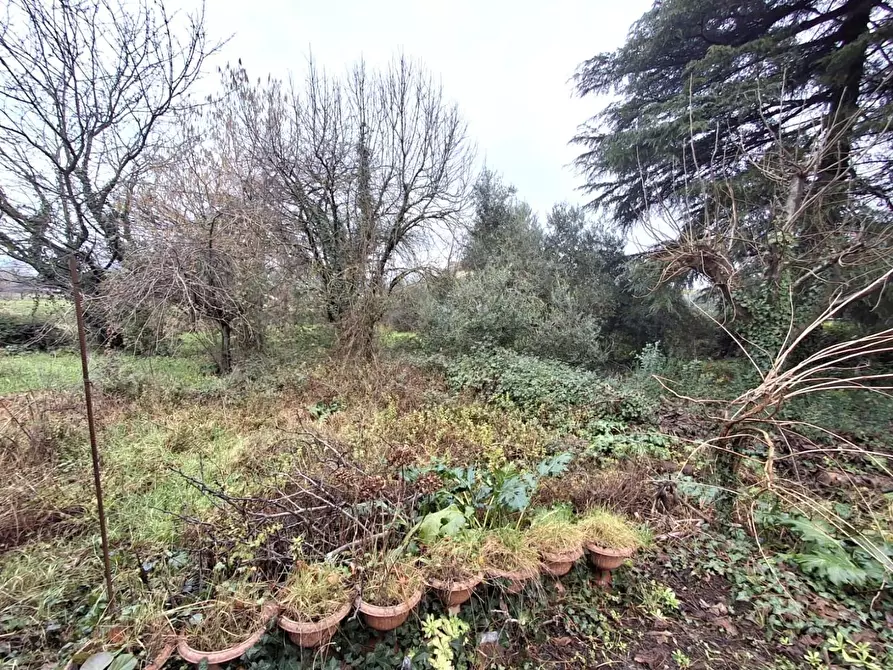 Immagine 5 di Loft/Open space in vendita  a Capannori