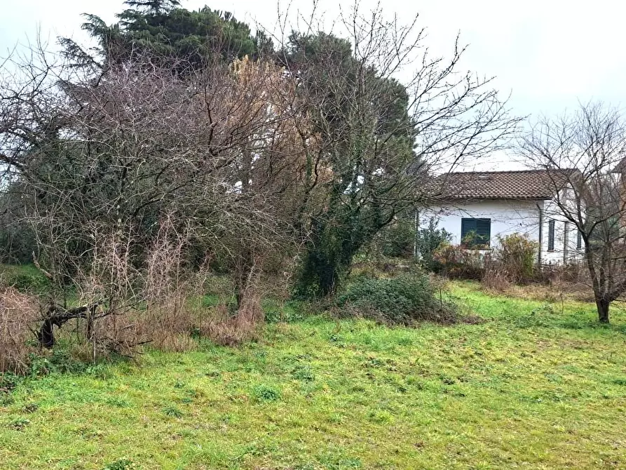 Immagine 2 di Loft/Open space in vendita  a Capannori